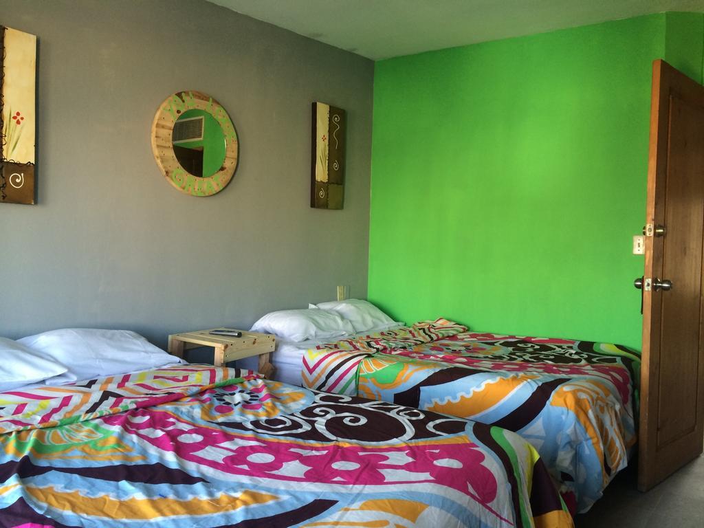 Bajas Cactus Hostel Cabo San Lucas Quarto foto